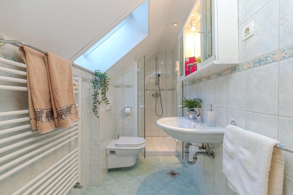 Shower, Toilet, Bathroom, towels