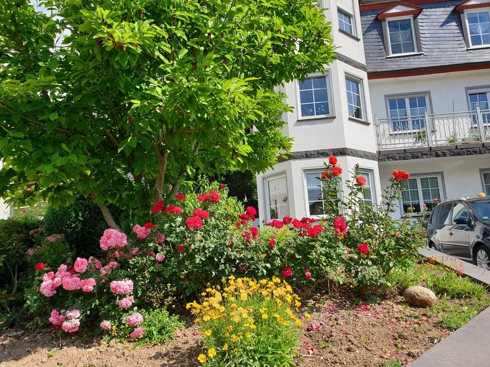 Facade/entrance, Summer, Garden