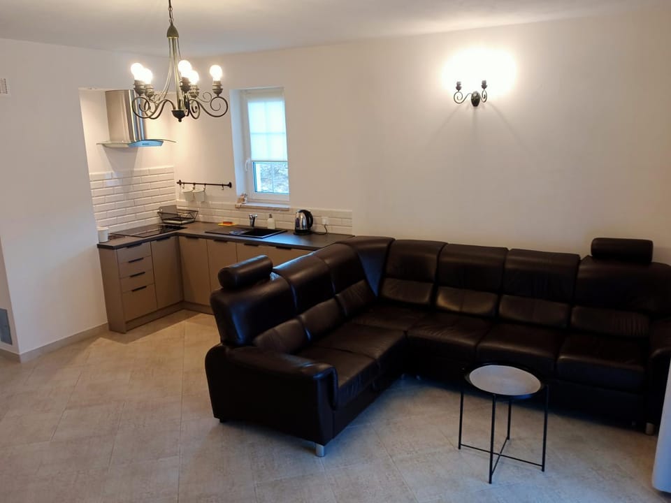 Natura Świeradów-Zdrój Apartment in Lower Silesian Voivodeship