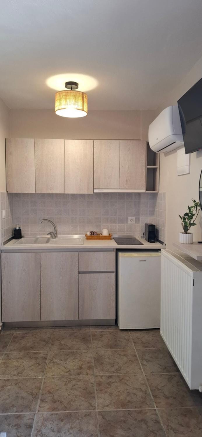 Kitchen or kitchenette, minibar, stove