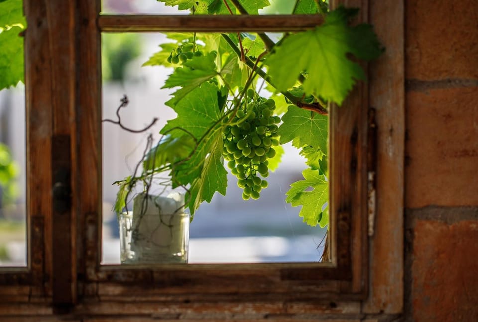 Ráspi Apartman Étterem és Borászat Bed and Breakfast in Hungary