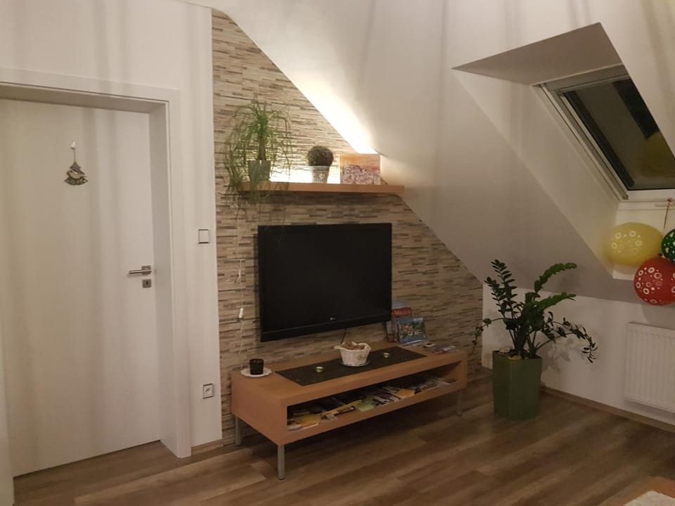 Ubytování U Špačků Pálava Apartment in South Moravian Region
