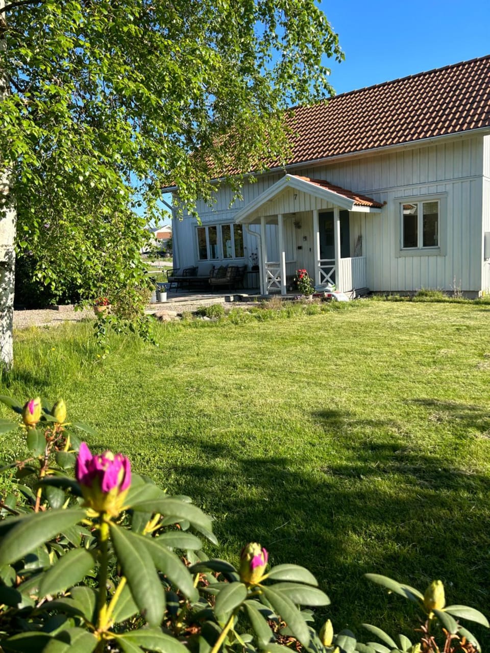 Garden view