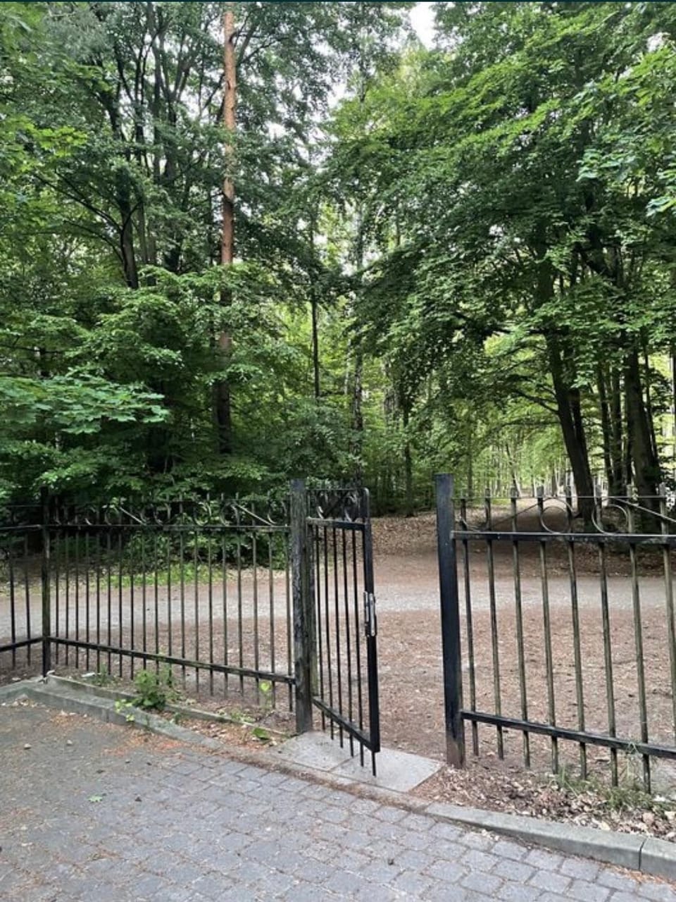 Apartament Jantarowe Zacisze Blue Apartment in Pomeranian Voivodeship