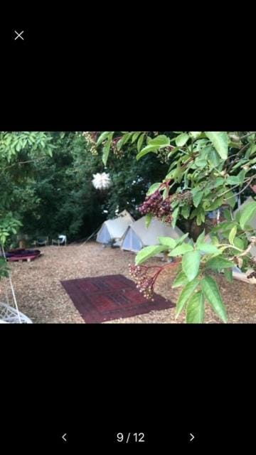 Into the Green Glamping- Maple Luxury tent in Baden-Württemberg