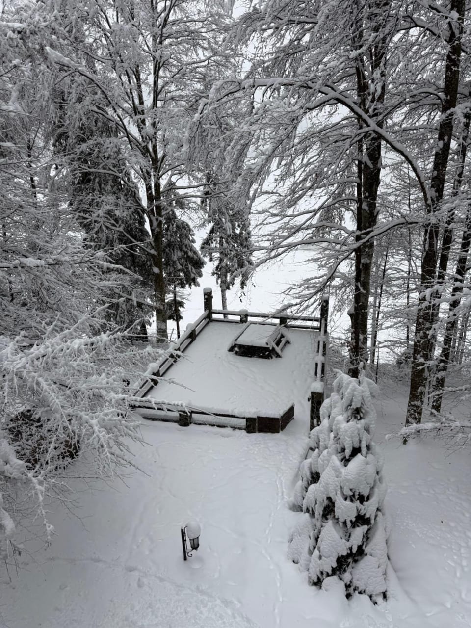 Pensiunea Lac Bed and Breakfast in Romania