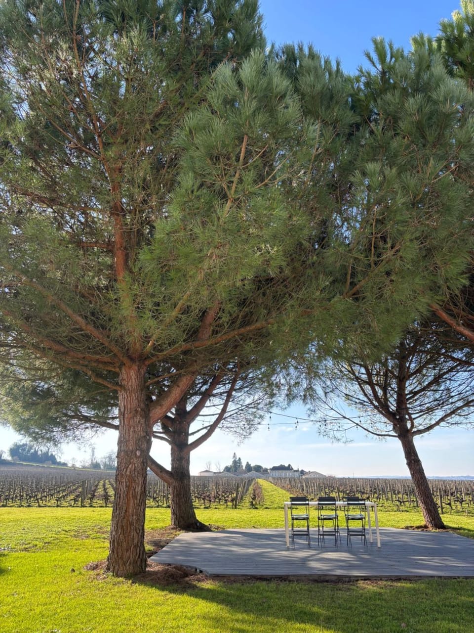 Spring, Day, Natural landscape