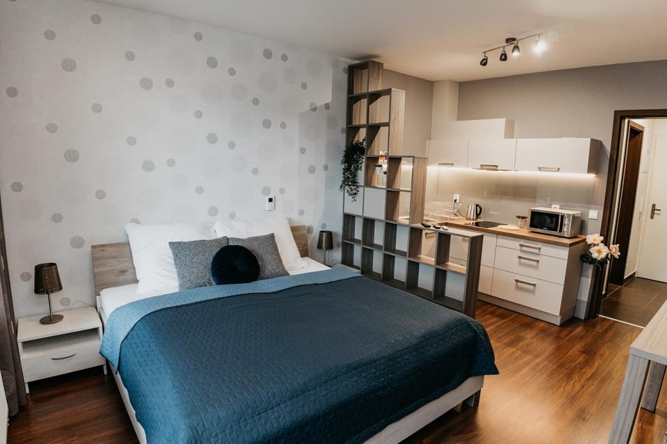 AH Radnica II Apartment in Slovakia