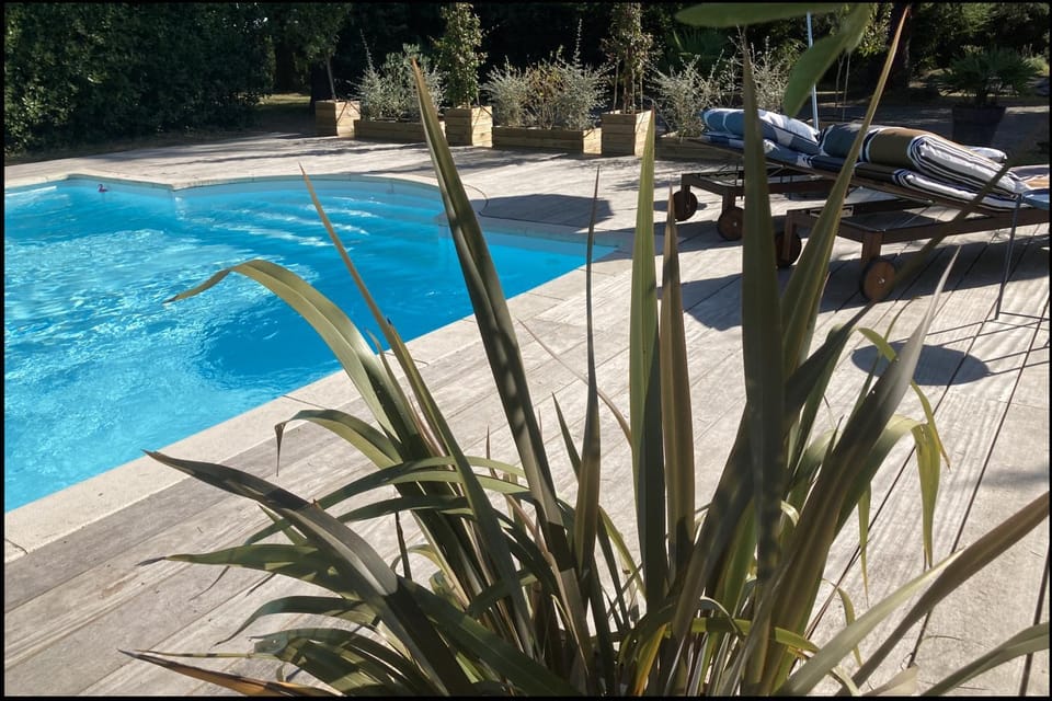 Pool view, Swimming pool
