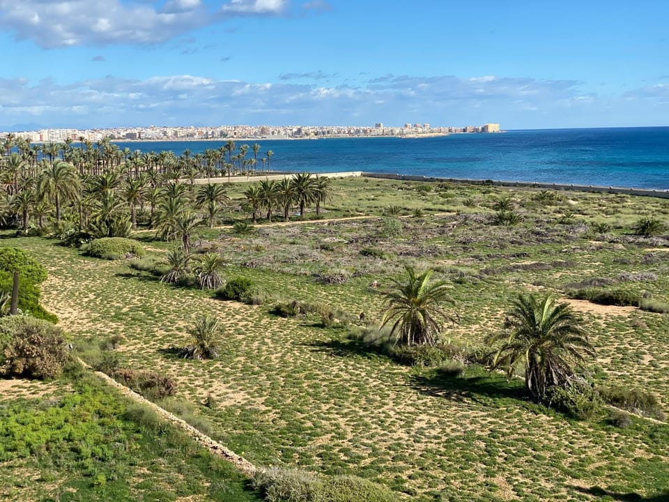 Apto CON FANTASTICAS VISTAS AL MAR EN PUNTA PRIMA Apartment in Vega Baja del Segura