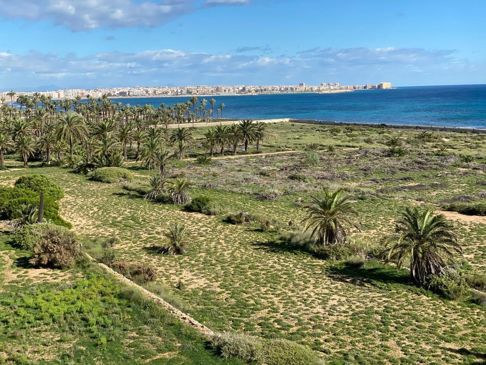 Apto CON FANTASTICAS VISTAS AL MAR EN PUNTA PRIMA Apartment in Vega Baja del Segura