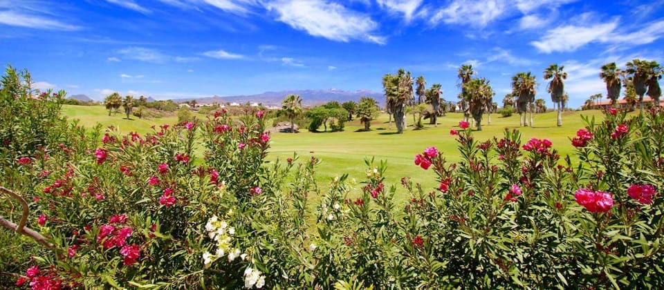 Golfcourse
