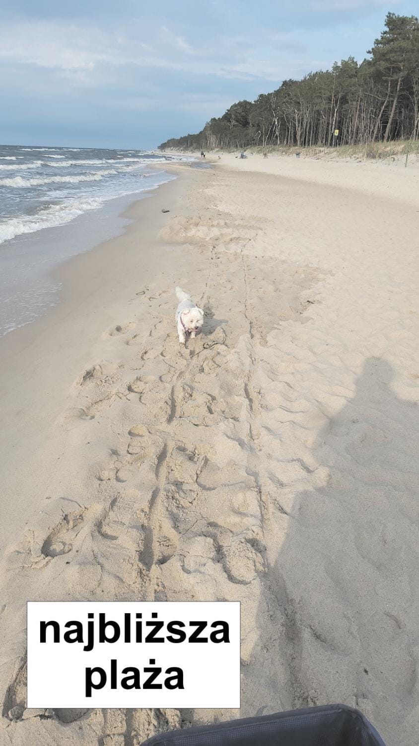 Willa Wieniotowo przy lesie i plaży Ap am Wald und Strand Apartment in West Pomeranian Voivodeship, Poland