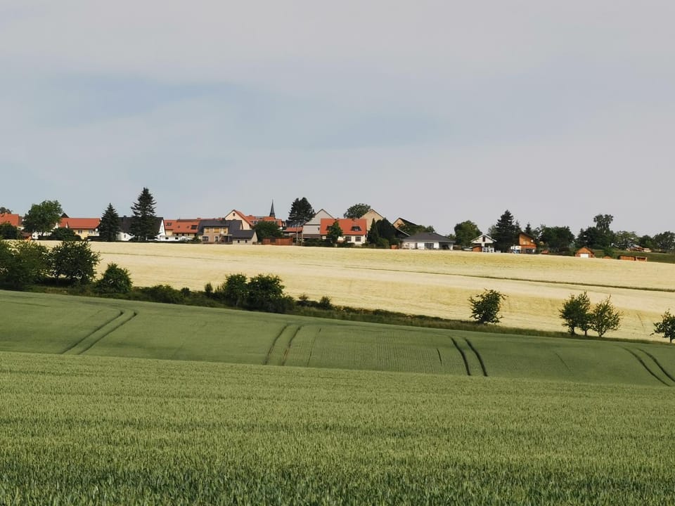 Natural landscape