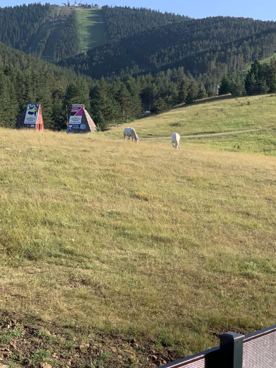 Natural landscape, View (from property/room), Mountain view