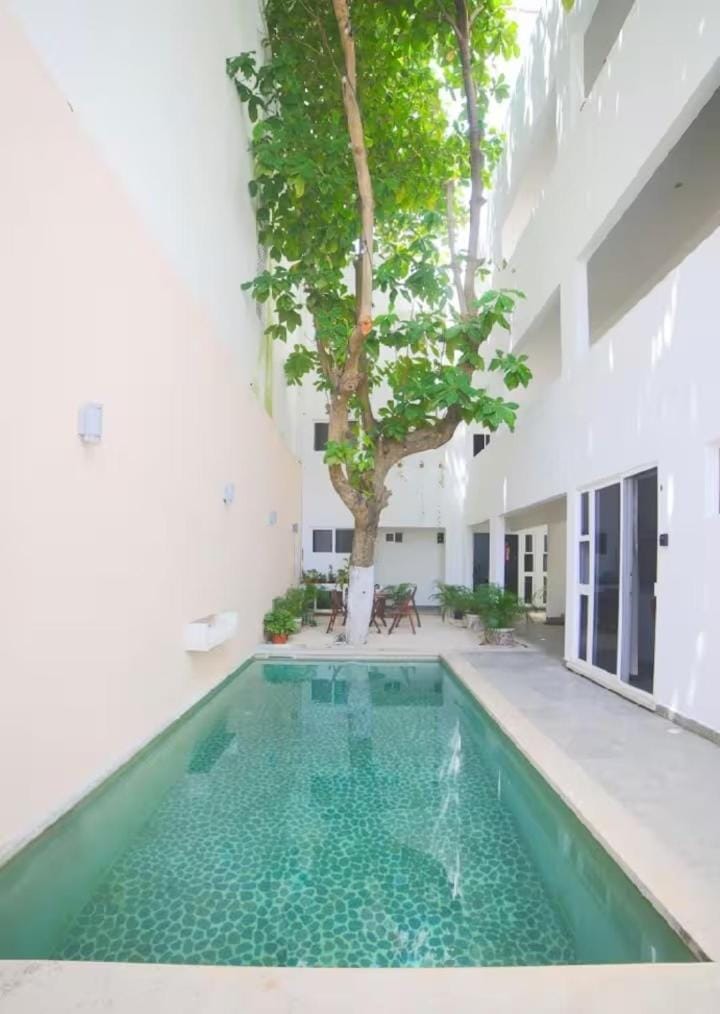 Swimming pool