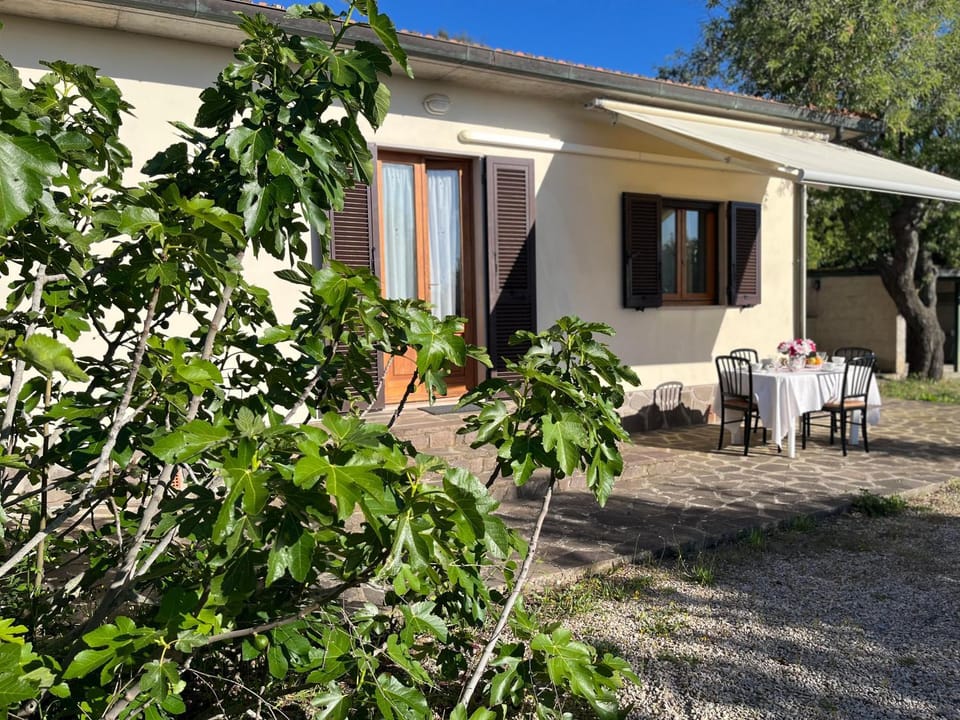 Property building, Garden