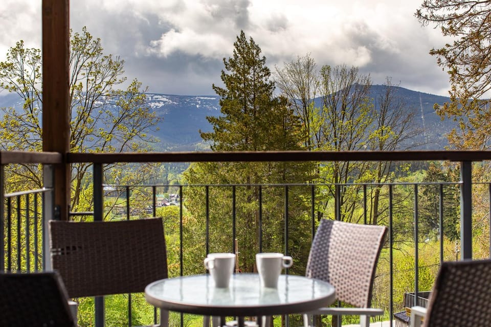 Patio, Day, Natural landscape, View (from property/room), Balcony/Terrace, Balcony/Terrace, Seating area, Mountain view