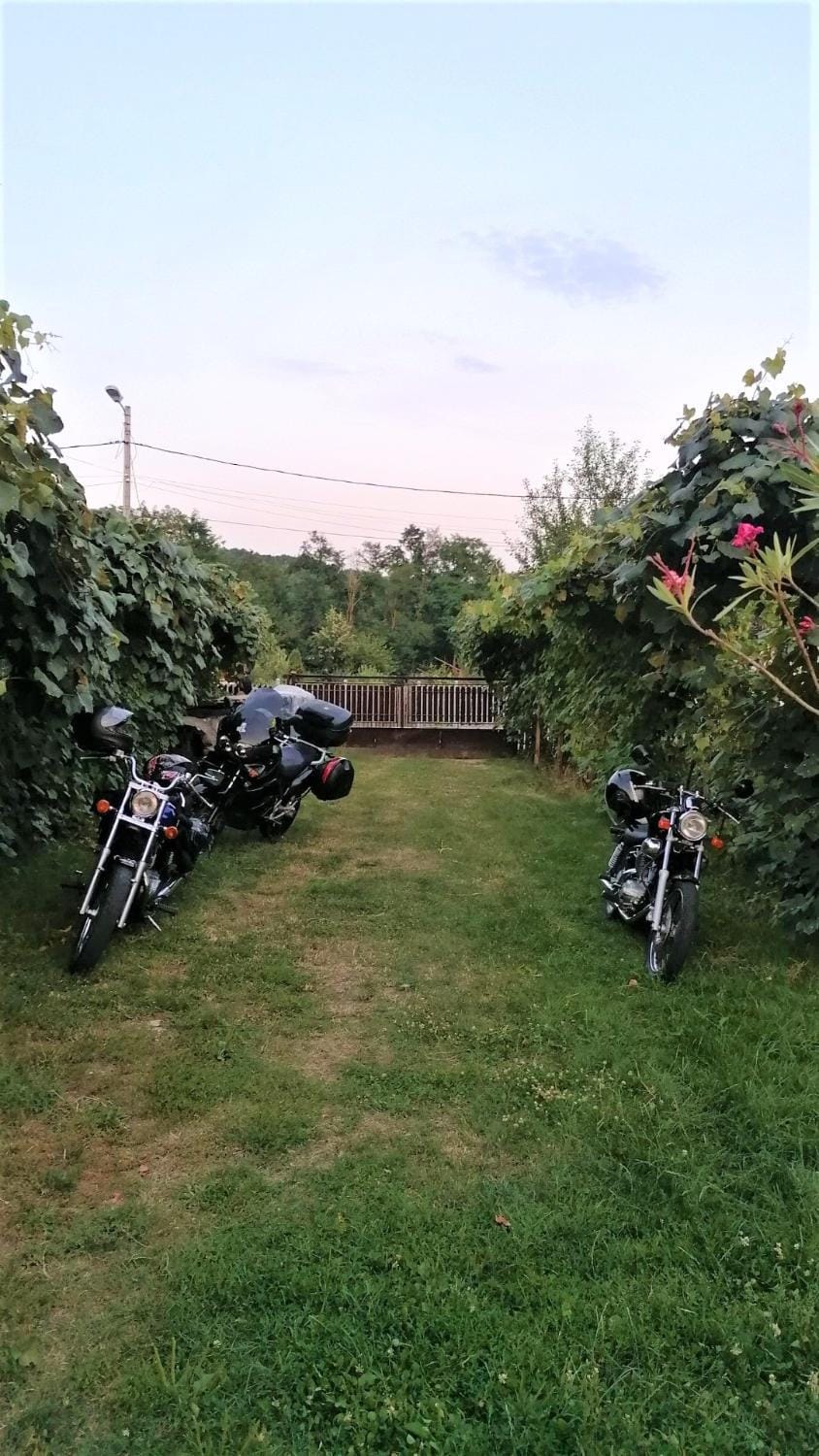 Garden, Other