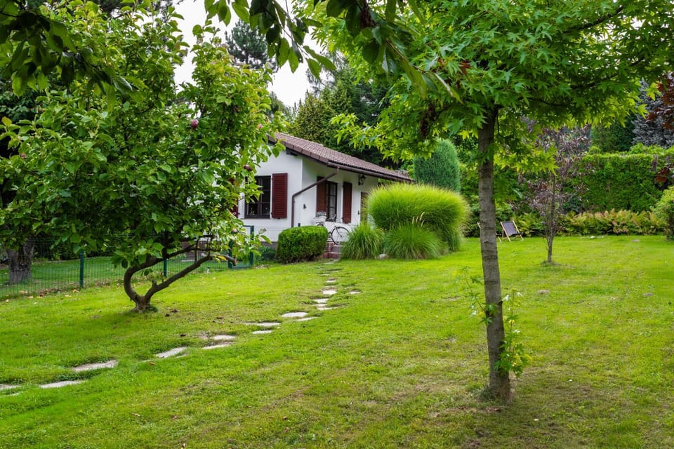 Natural landscape, Garden view