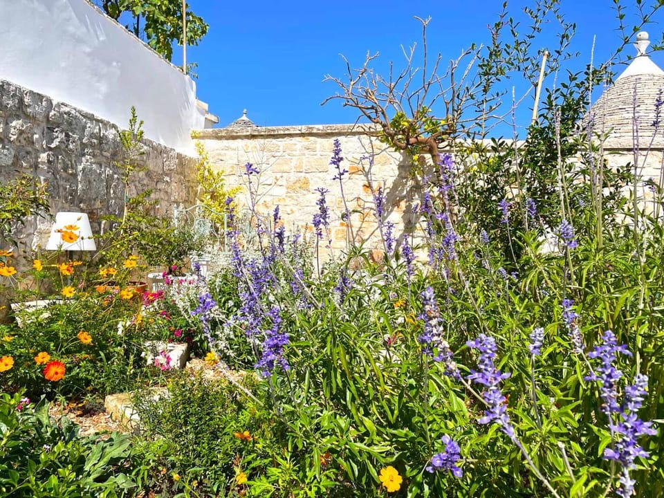 Summer, Garden, Garden view