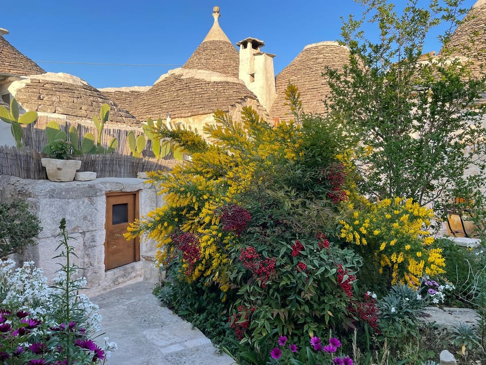 Patio, Garden, Sunset