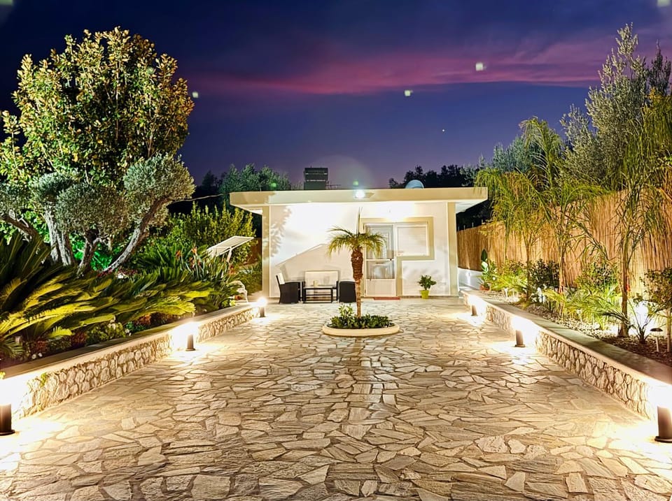 Property building, Night, Garden