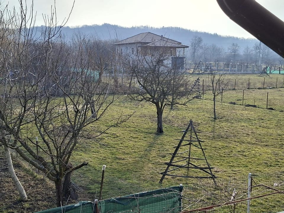 View (from property/room)