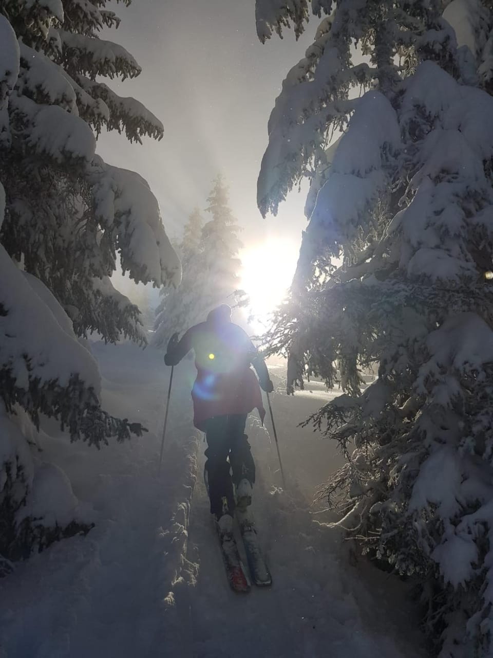 Ski School, Skiing