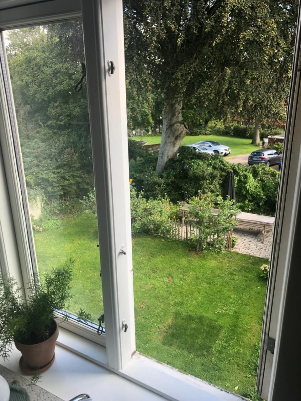 Garden view