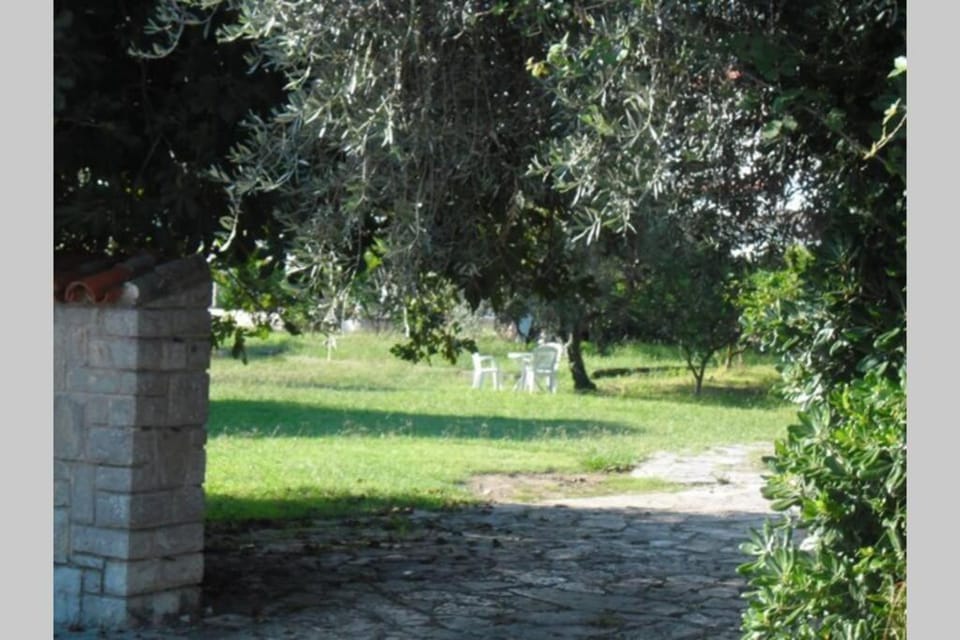 Two bedroom ap in the garden Apartment in Budva Municipality