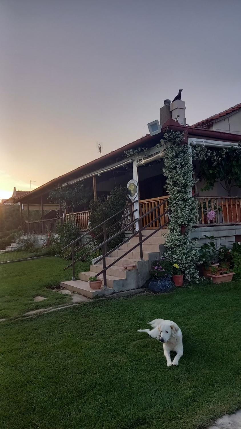 Ivonnis Garden 120m from Dikella Beach Denize & BBQ House in Evros, Greece