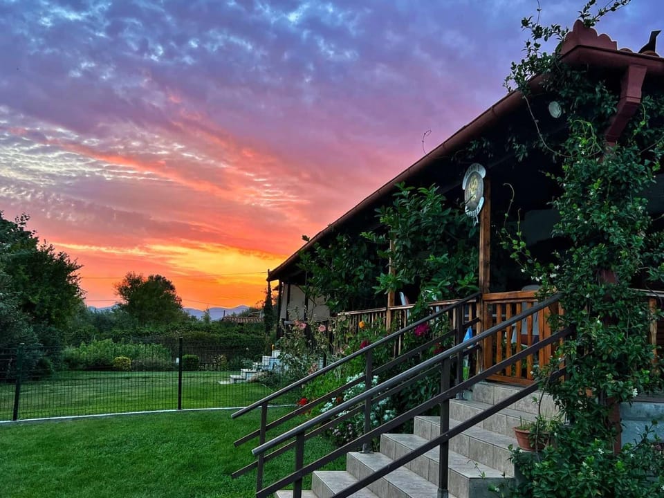 Property building, Garden, Sunset