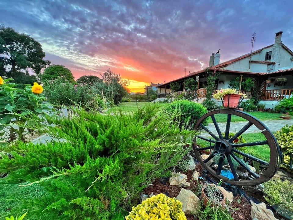 Property building, Garden, Sunset
