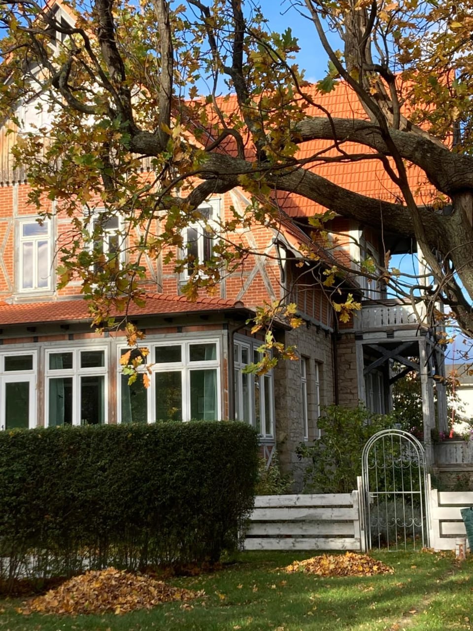 Property building, Day, Garden, Garden view