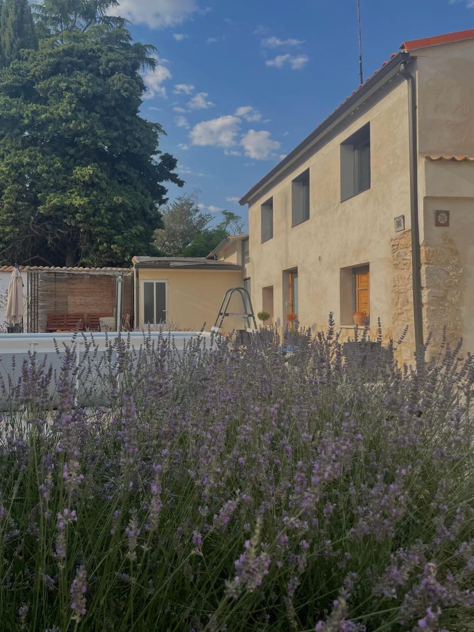 Property building, Patio, Garden, Garden, Inner courtyard view