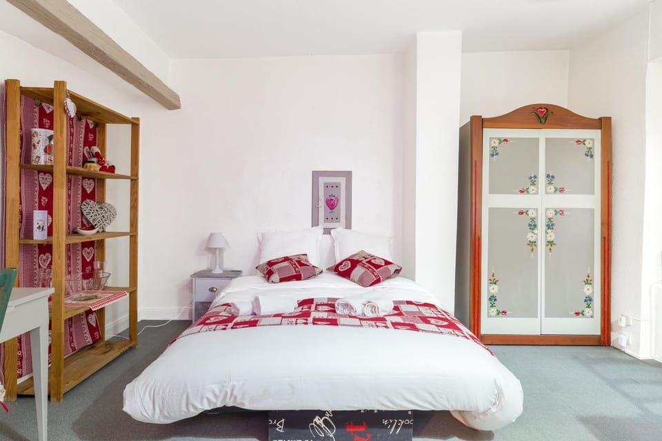 Travel Homes -The Cigogne, quiet & heart of Colmar Apartment in Colmar