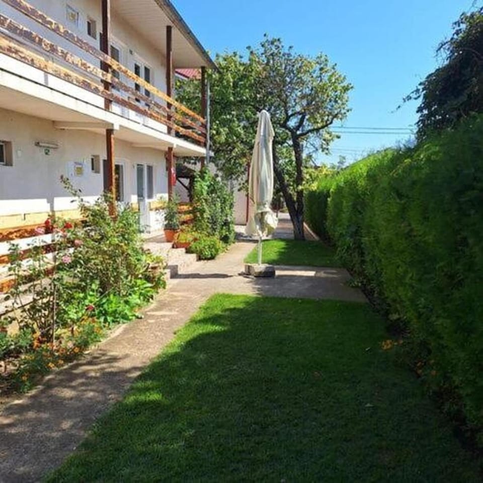 Property building, Day, Natural landscape, Summer, Garden, Garden view, internet