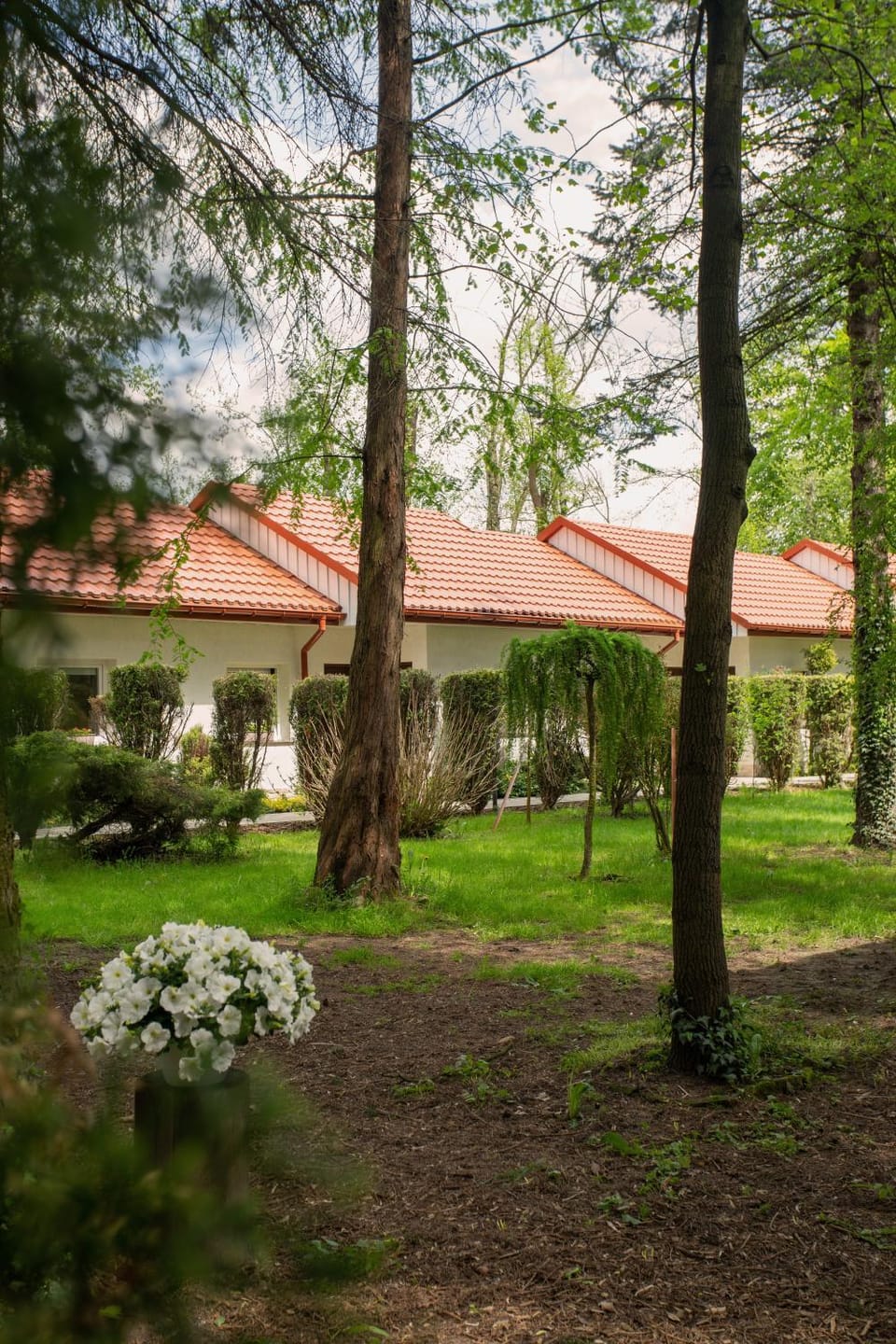 Property building, Garden