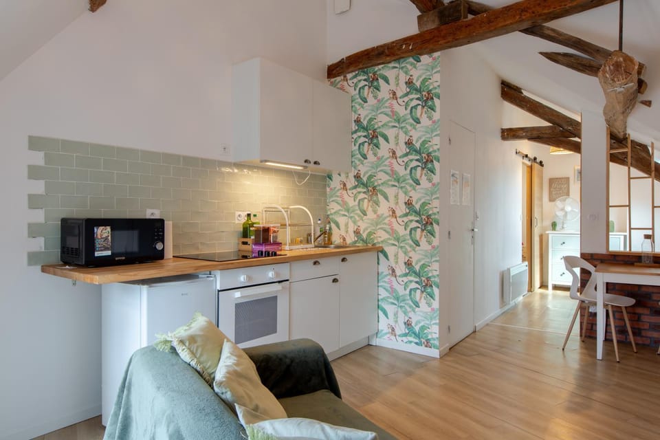 Kitchen or kitchenette, oven, stove, toaster