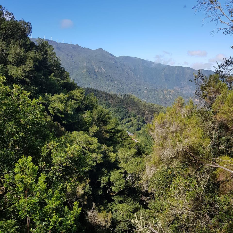 Casinhas da Laurissilva Nature lodge in Madeira District
