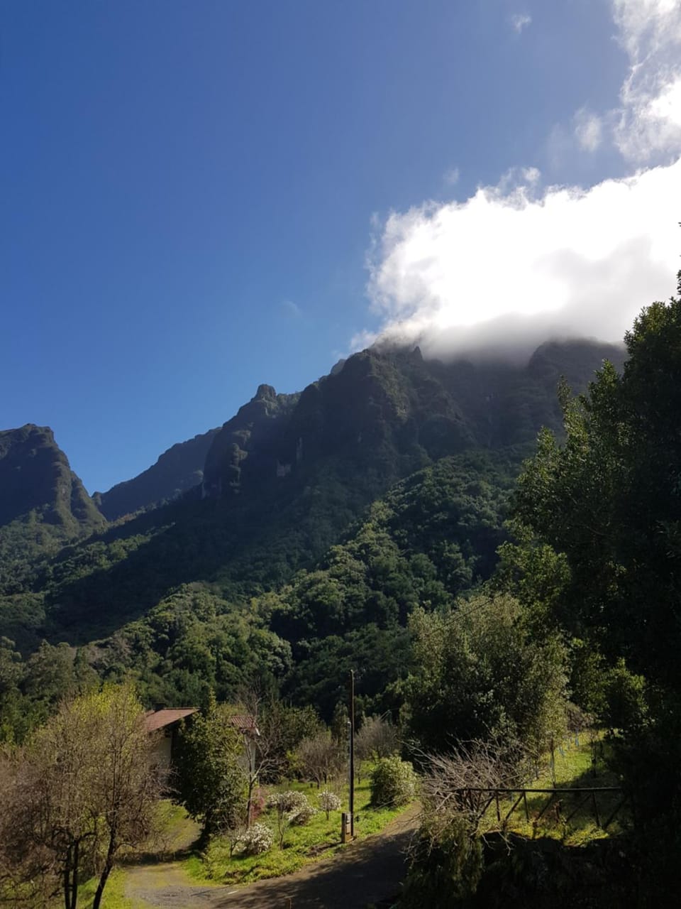 Mountain view
