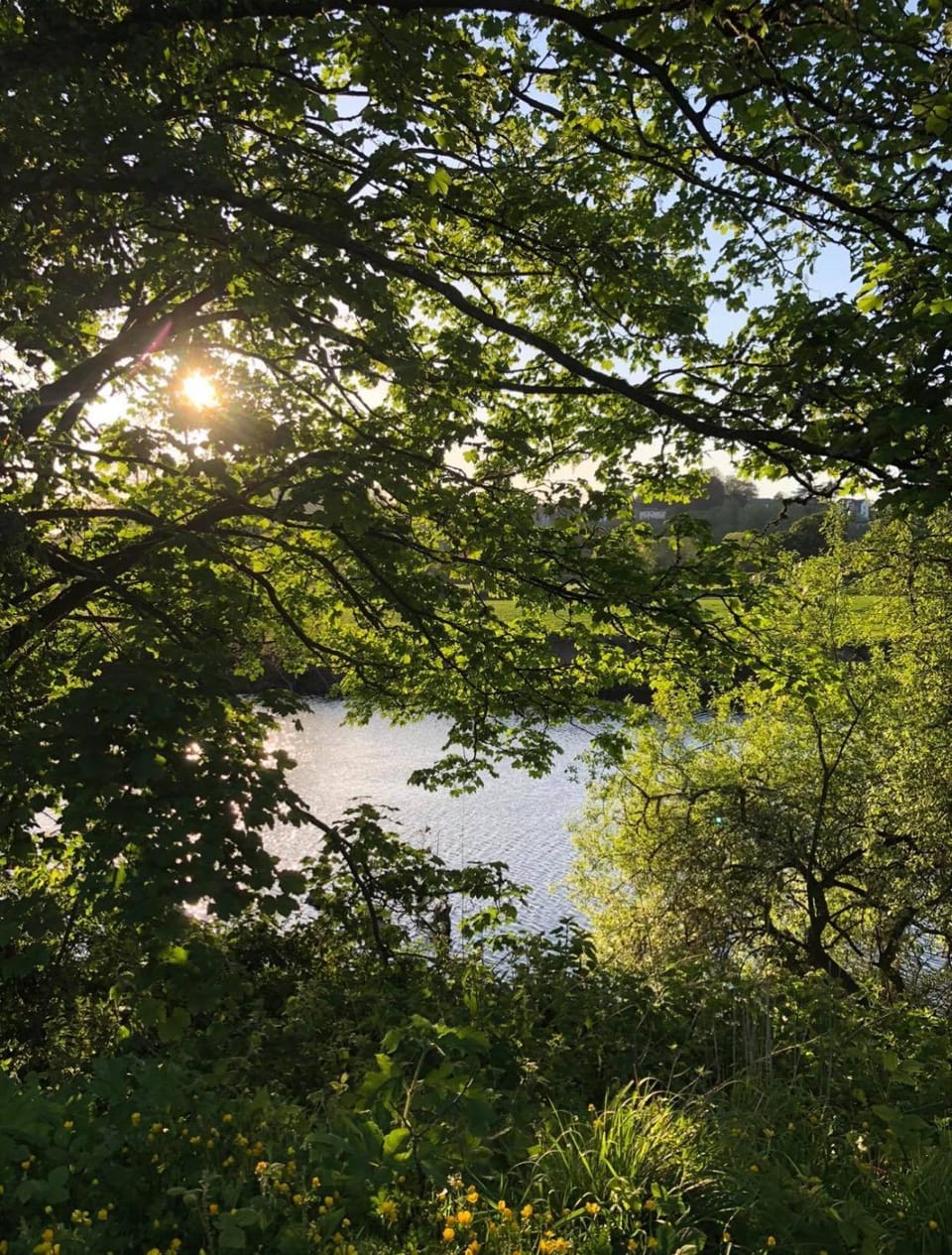 Carreglwyd Bed and Breakfast in Wales