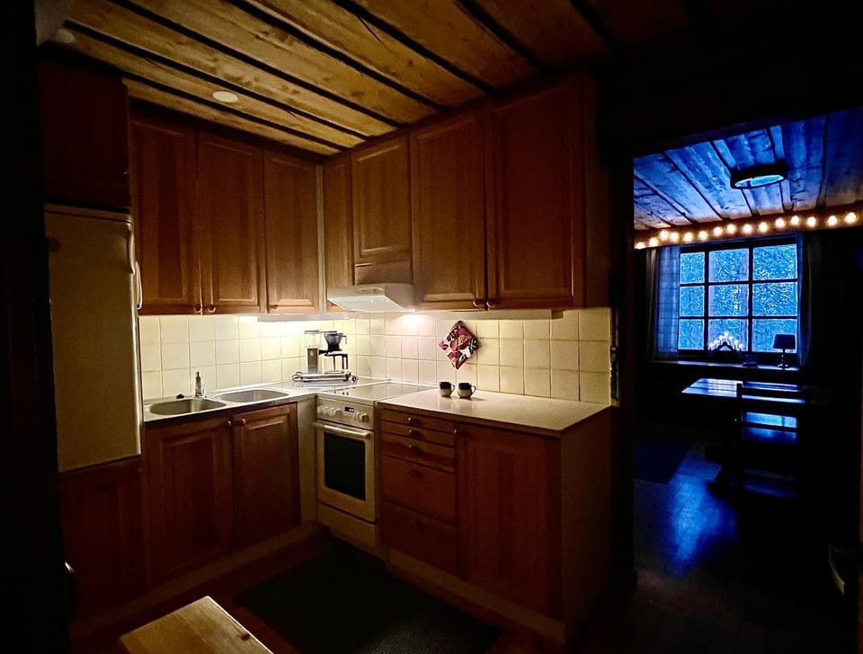 Coffee/tea facilities, Kitchen or kitchenette, minibar, pet friendly, stove