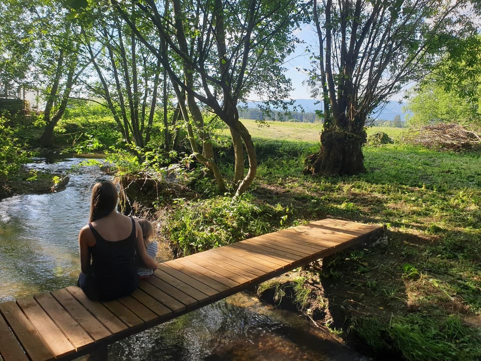Day, Natural landscape, Garden, River view