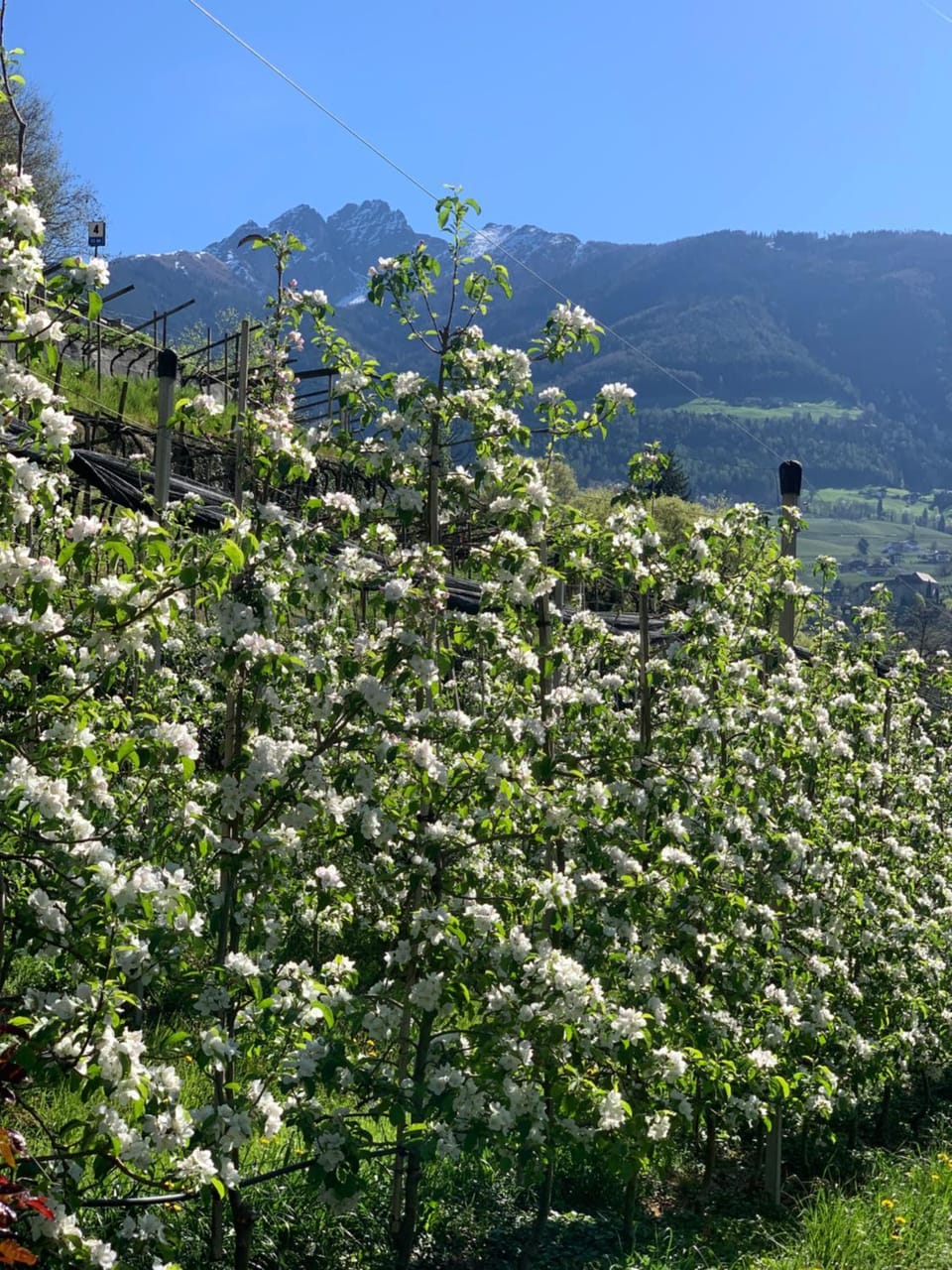 Tannerhof Bed & Breakfast Bed and Breakfast in Tirol