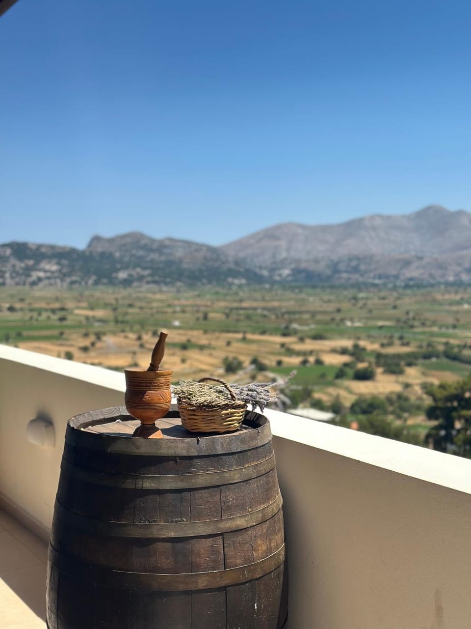Dictamus Homes Apartment hotel in Lasithi