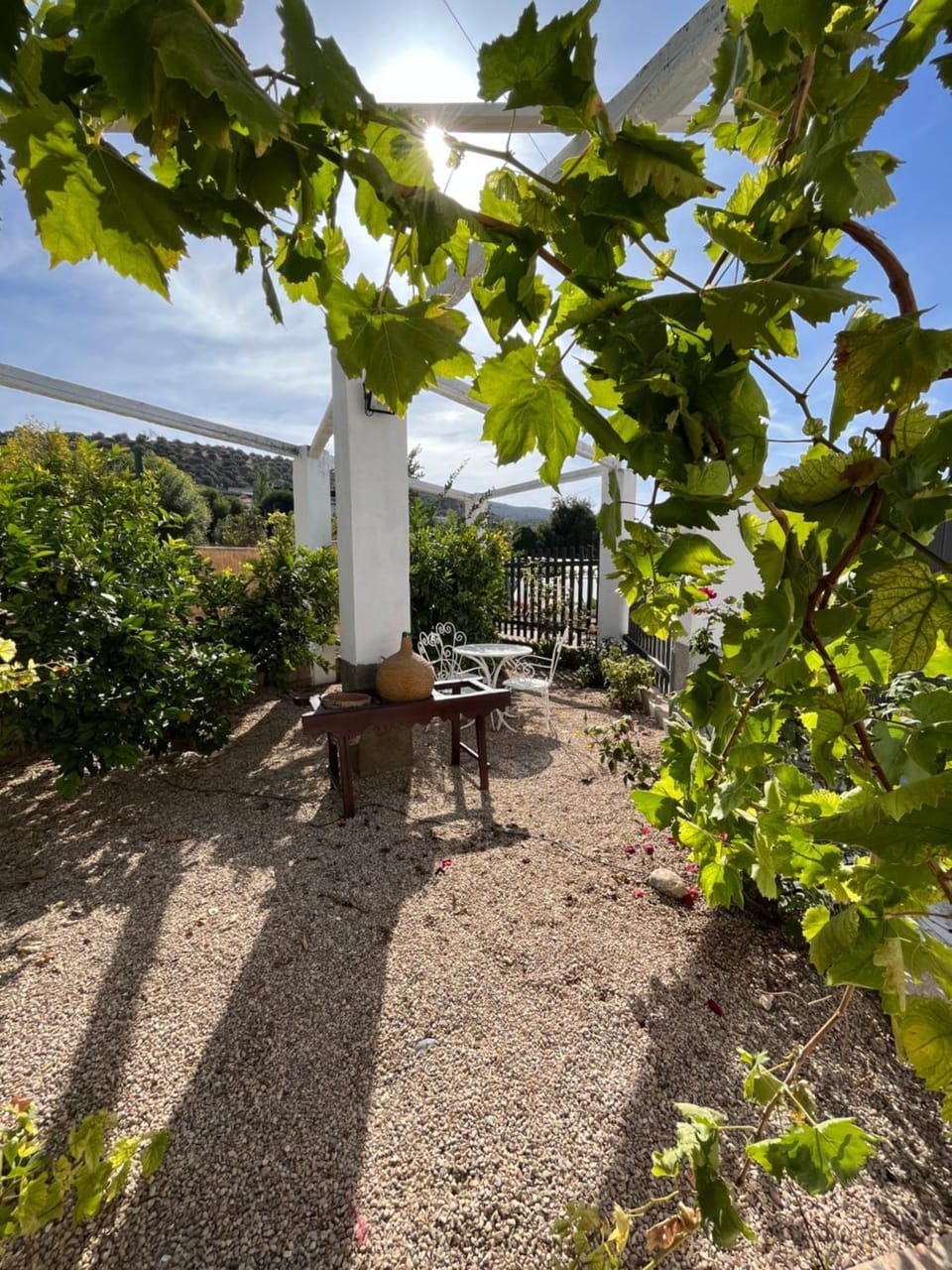 Garden view