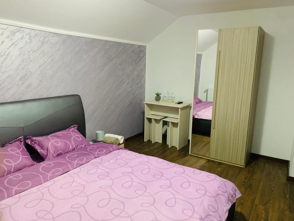 Pensiunea Casa Ariana Bed and Breakfast in Romania