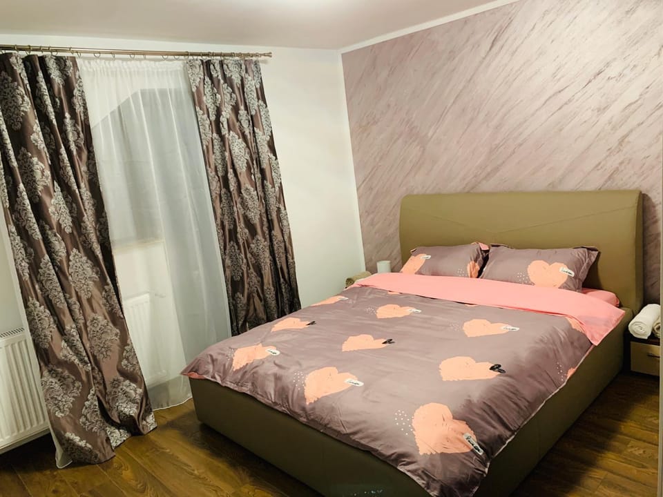Pensiunea Casa Ariana Bed and Breakfast in Romania